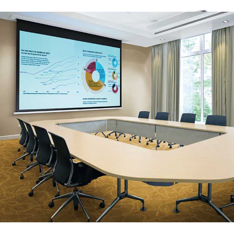 Ceiling Recessed Motorized Projection Screen Installation Shelly Lighting