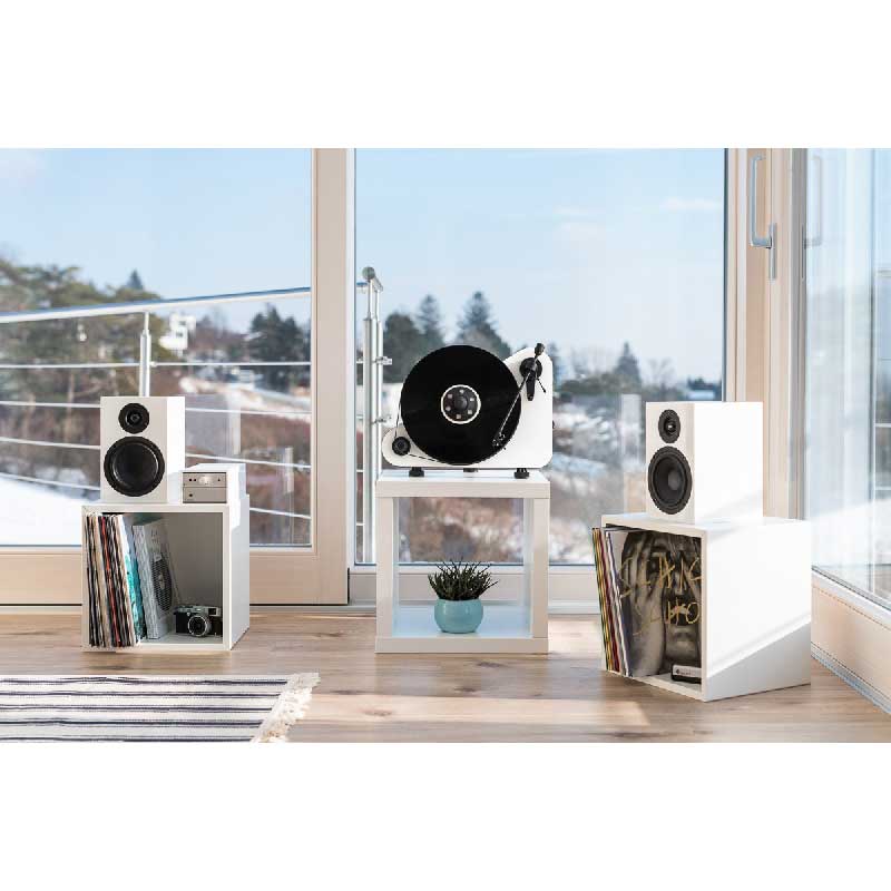 Speakers for best sale pro ject turntable