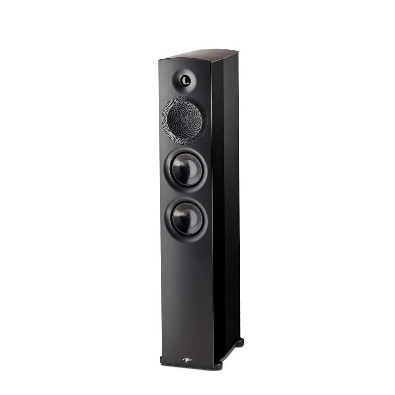 Bass Reflex Floorstanding Speakers 