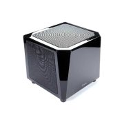 Rapallo | Goldenear SuperSub™ X Dual 8" Compact Powered Subwoofer